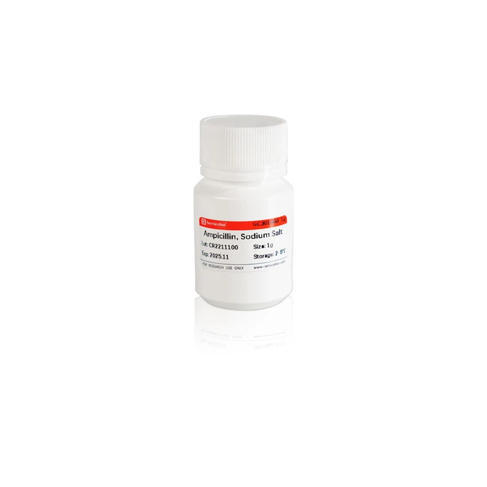 Ampicillin, Sodium Salt